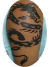 tribal dragon pics tattoo
